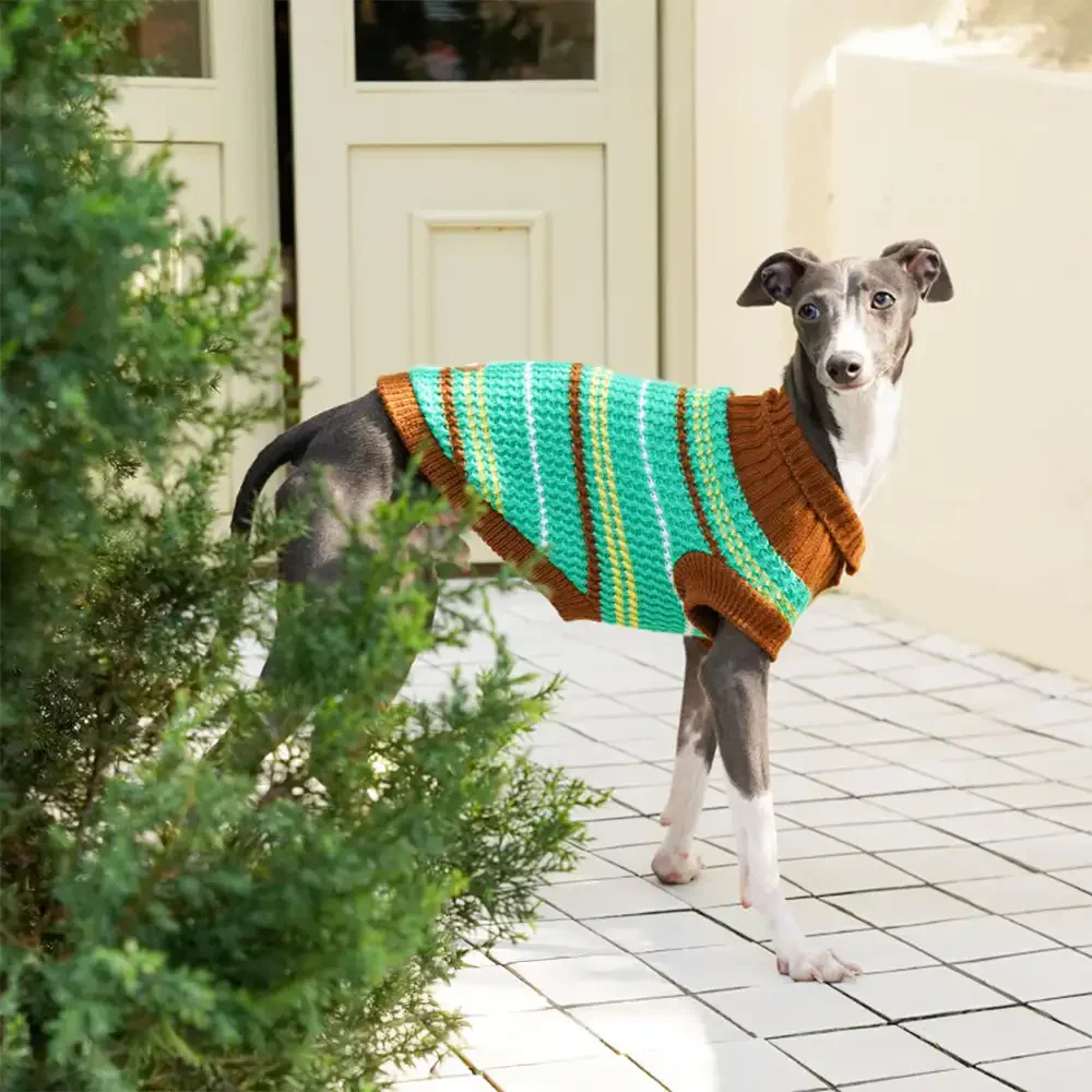 Pull pour chien teckel à rayures en blocs de couleurs - Image 14