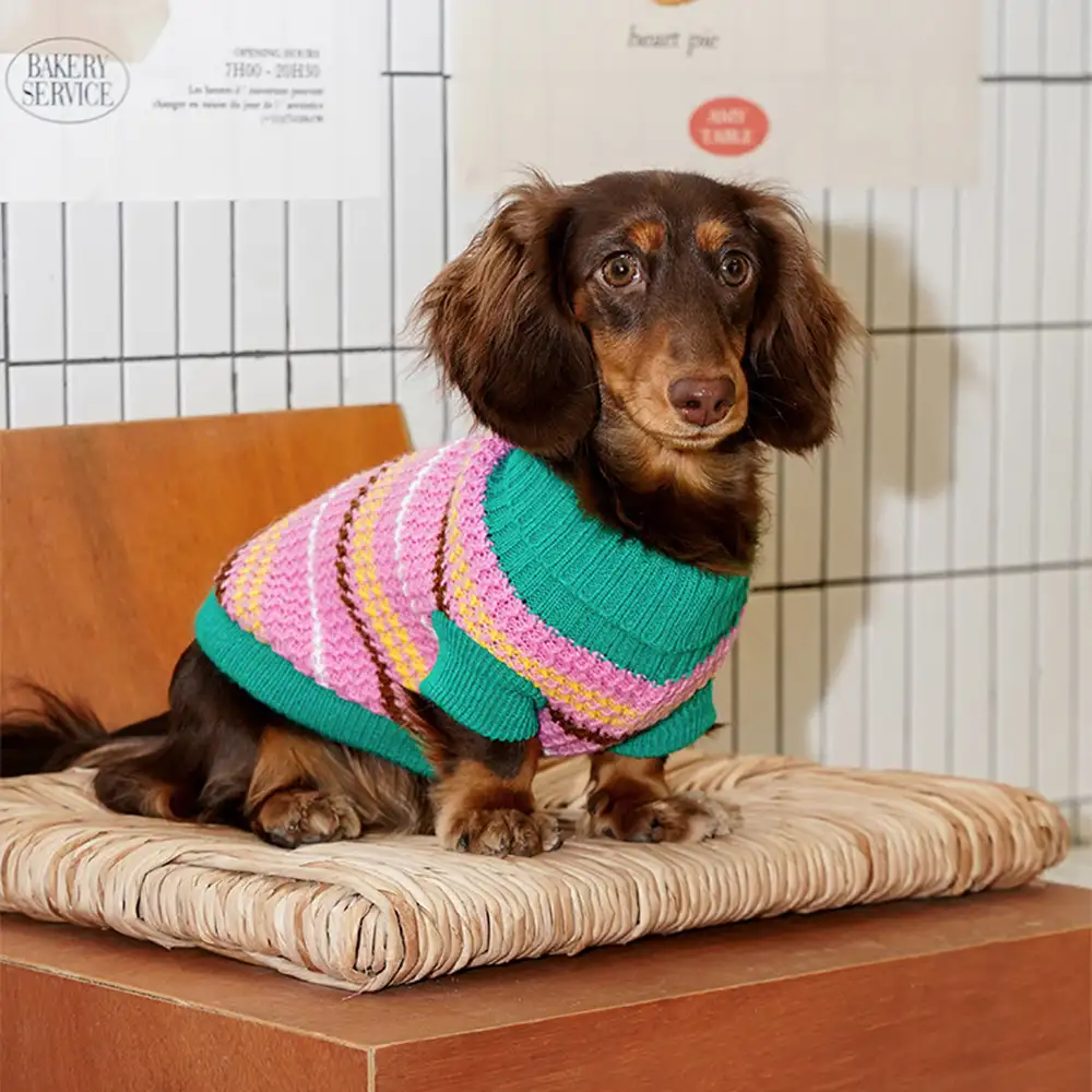 Pull pour chien teckel à rayures en blocs de couleurs - Image 3