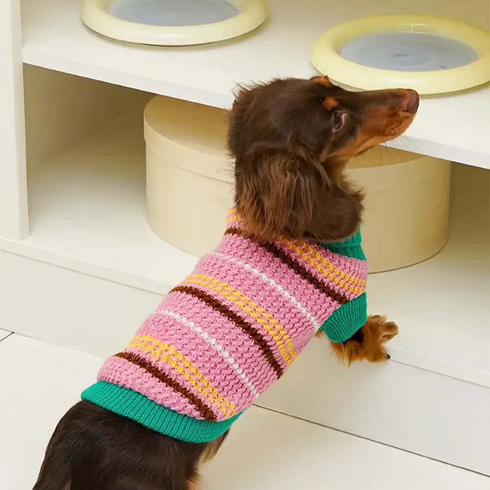 Pull pour chien teckel à rayures en blocs de couleurs - Image 4