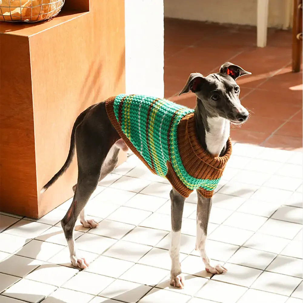 Pull pour chien teckel à rayures en blocs de couleurs - Image 5