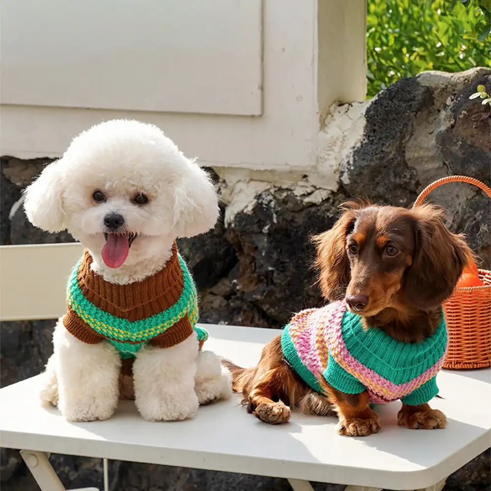 Pull pour chien teckel à rayures en blocs de couleurs - Image 8