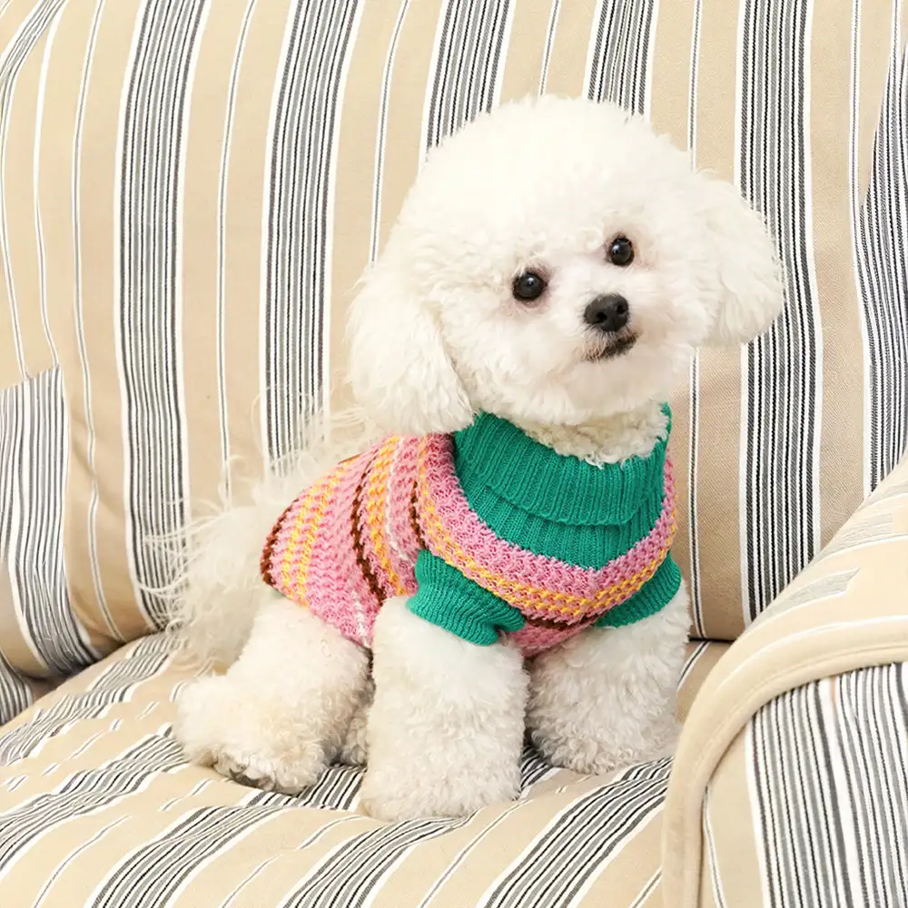 Pull pour chien teckel à rayures en blocs de couleurs - Image 9