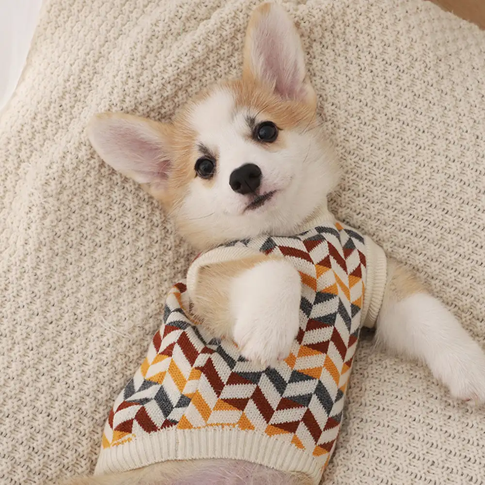 Pull pour chien teckel à rayures en diamant - Image 3