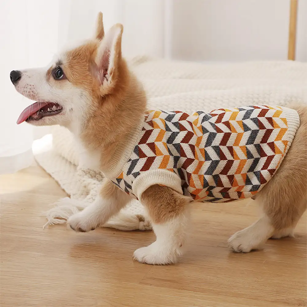 Pull pour chien teckel à rayures en diamant - Image 9