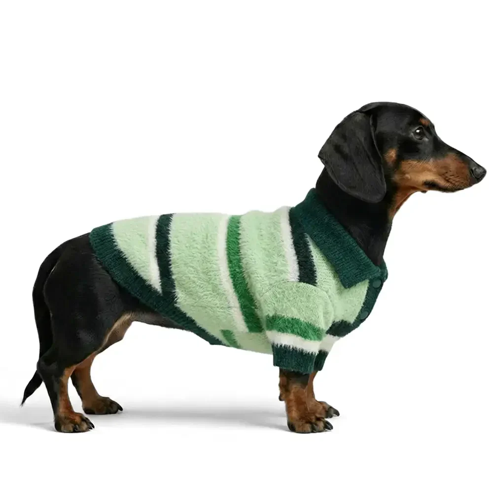Pull pour chien teckel en fausse fourrure de vison à rayures et coloris bloc, chaud, adapté pour chiots. - Image 2