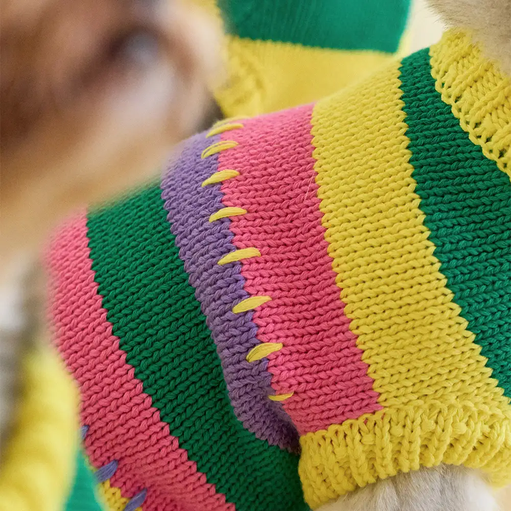 Pull sans manches pour chien en dachshund à rayures avec blocs de couleur - Image 6