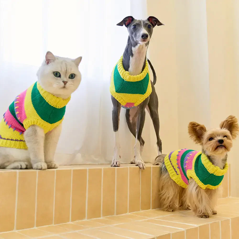 Pull sans manches pour chien en dachshund à rayures avec blocs de couleur - Image 8