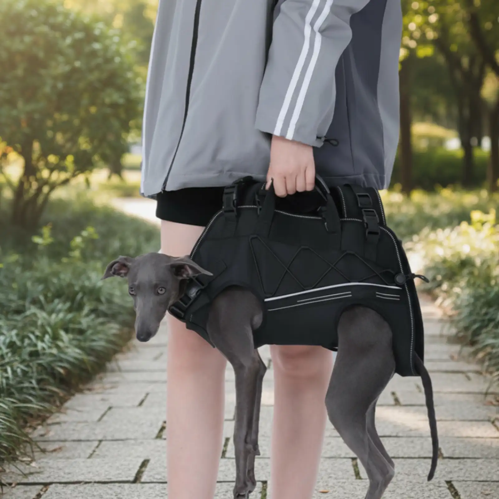Sac à dos horizontal pour chien, respectueux de la colonne vertébrale, avec des sangles rembourrées ajustables - Confort jambes sorties - Image 7