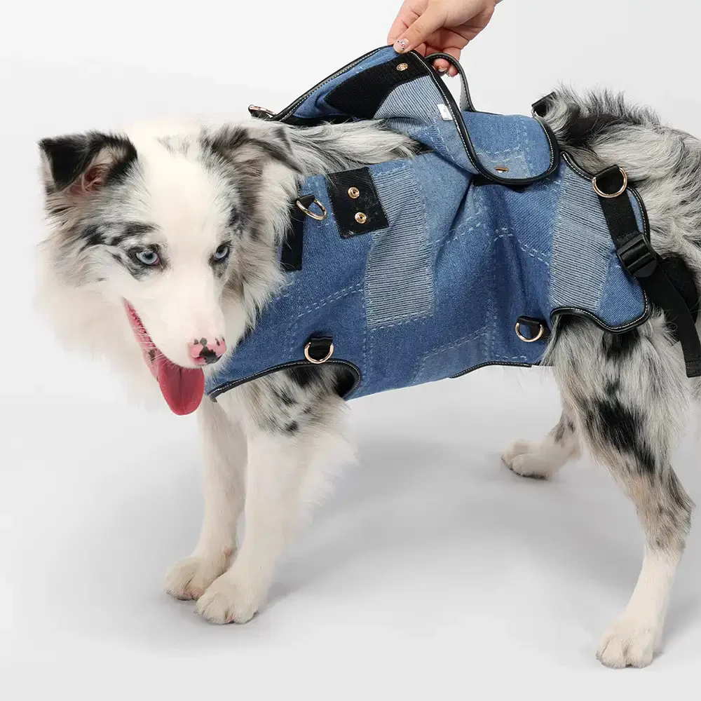 Sac à dos porte-chien mains libres pour les voyages et la randonnée – Sac multifonctionnel pour chiens de taille moyenne - Image 8