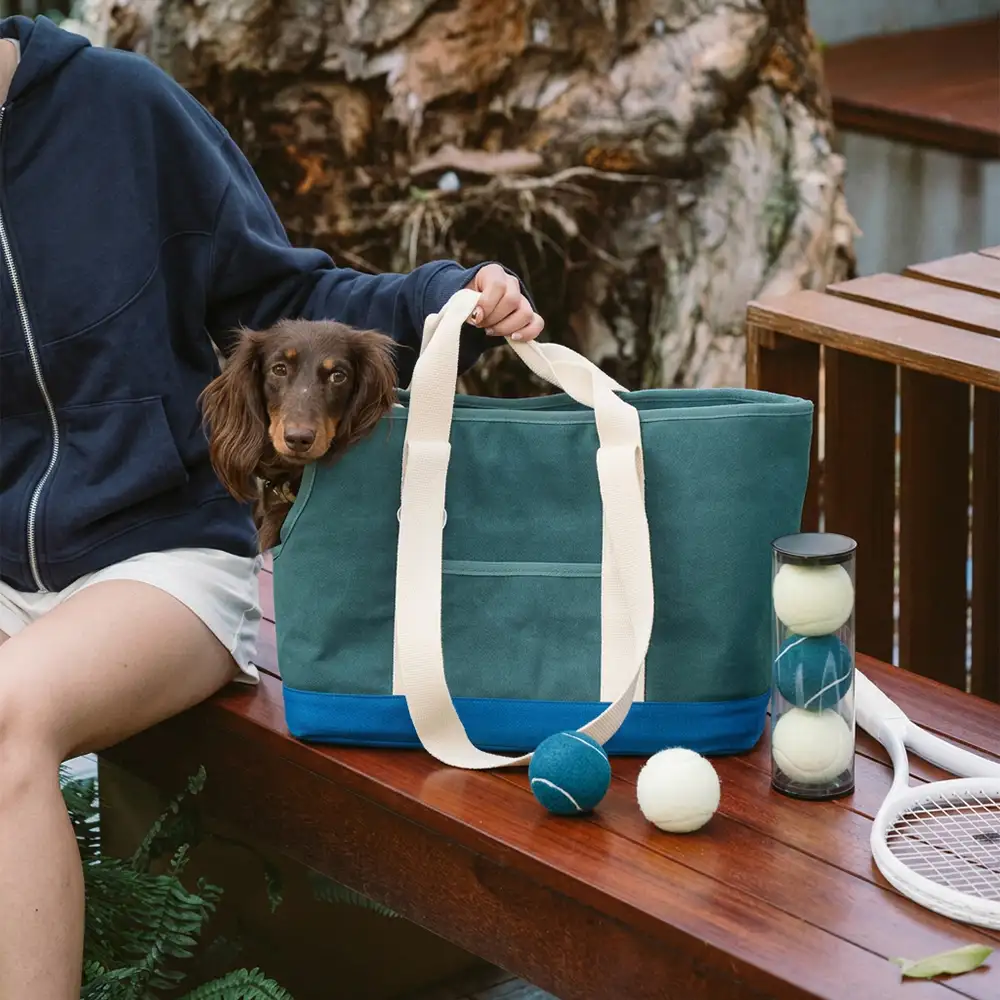 Sac de transport pour animaux de compagnie, sportif, élégant, portable, grande capacité, pour les voyages et chez le vétérinaire. - Image 10