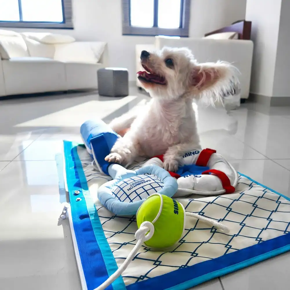 Série de jeux de plage - balles éducatives interactives pour chiens - Image 3