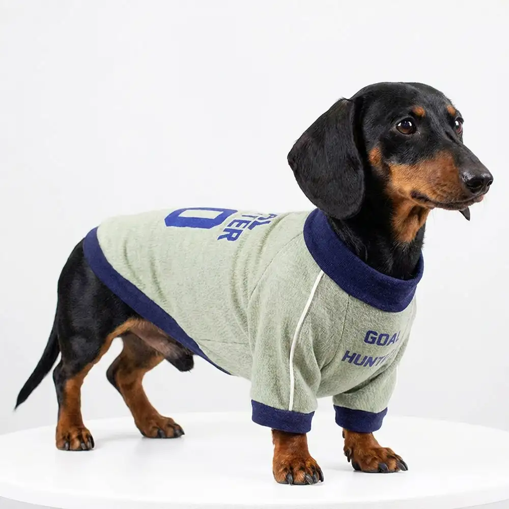 T-shirt col rond pour chiot en tissu respirant et fin - Image 7