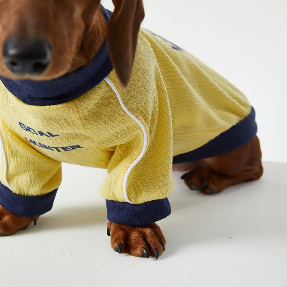 T-shirt col rond pour chiot en tissu respirant et fin - Image 9