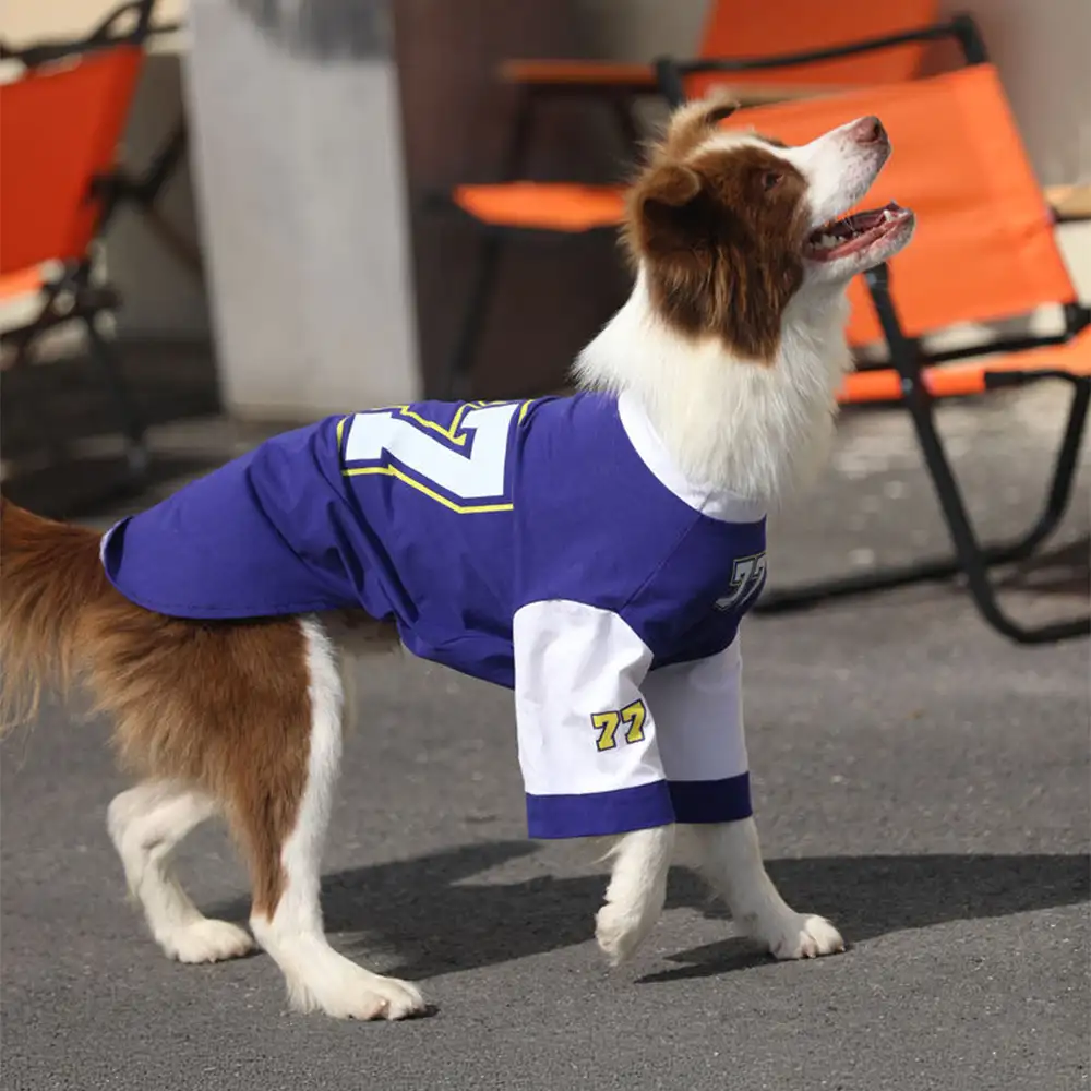 T-shirt pour chien à col rond, respirant et lavable, toutes races - Image 5