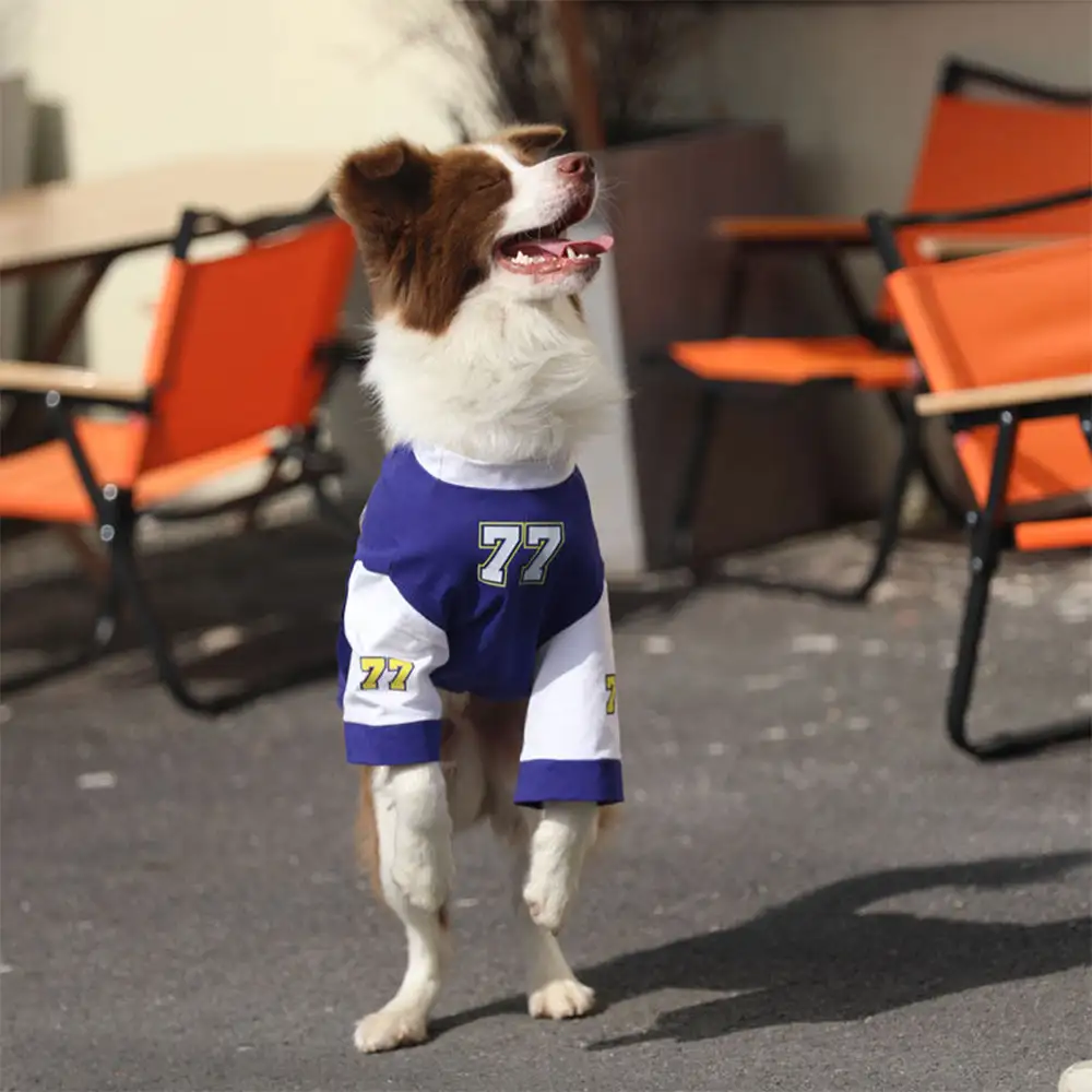 T-shirt pour chien à col rond, respirant et lavable, toutes races - Image 7