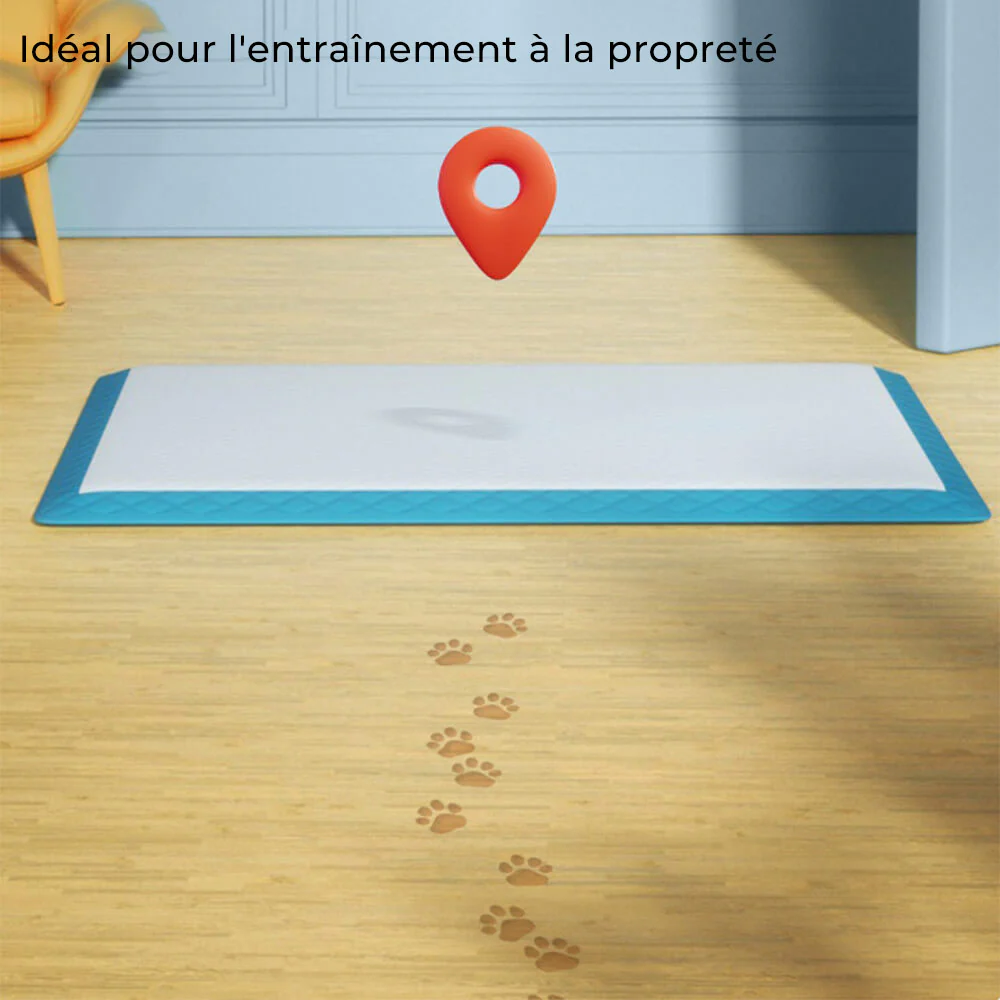 Tampons jetables absorbants pour animaux - Tapis éducatif anti-fuites - Image 4