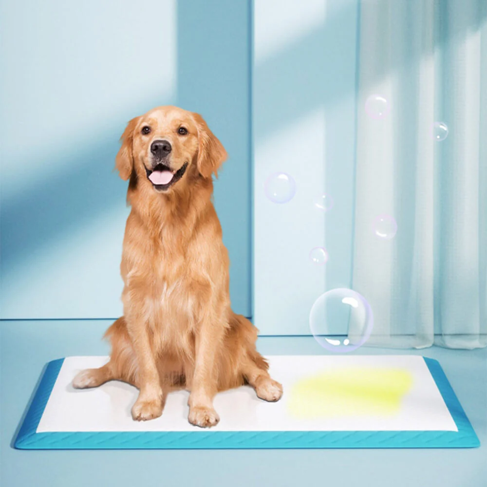 Tampons jetables absorbants pour animaux - Tapis éducatif anti-fuites - Image 5