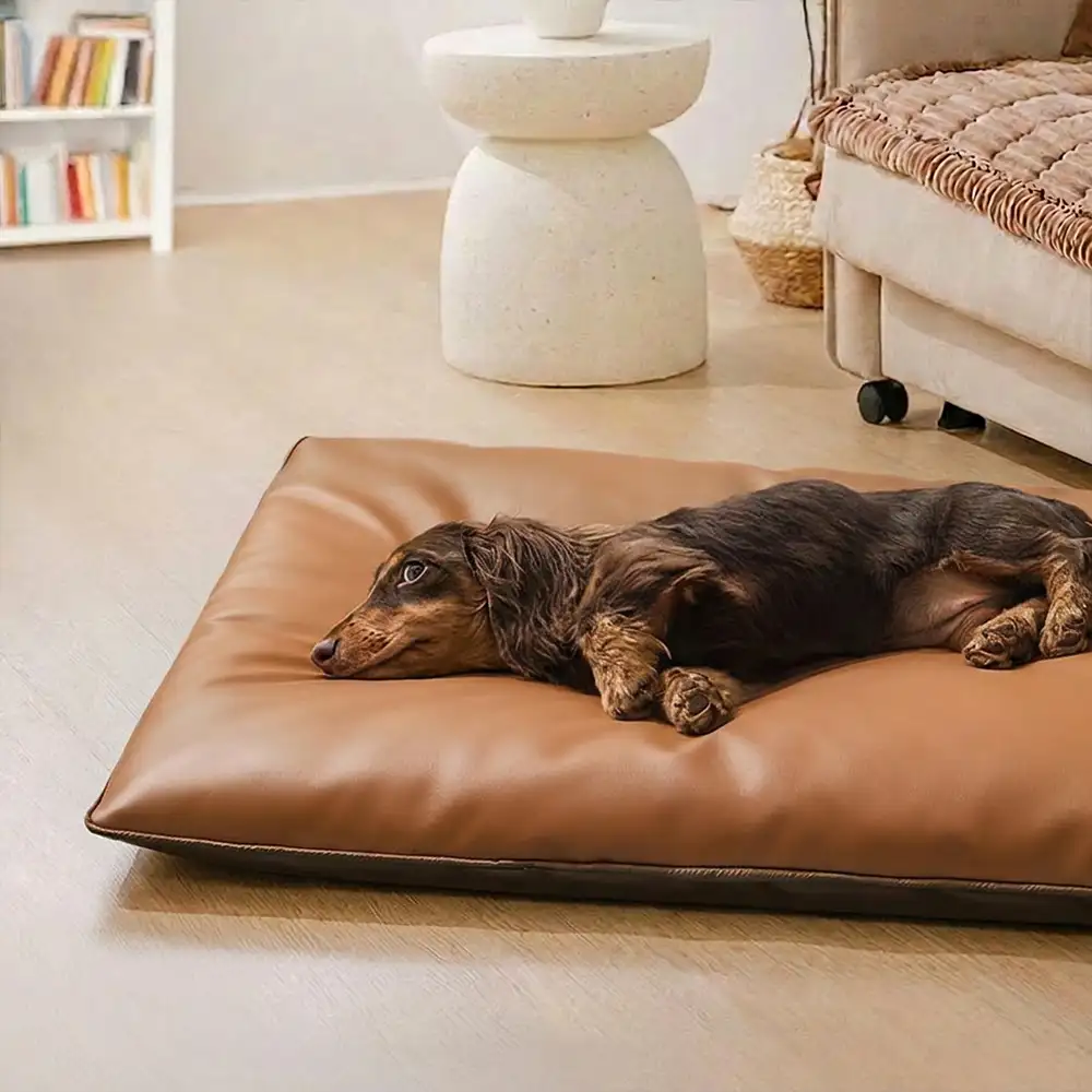 Tapis pour chien double face, imperméable, résistant aux rayures et lavable. - Image 8