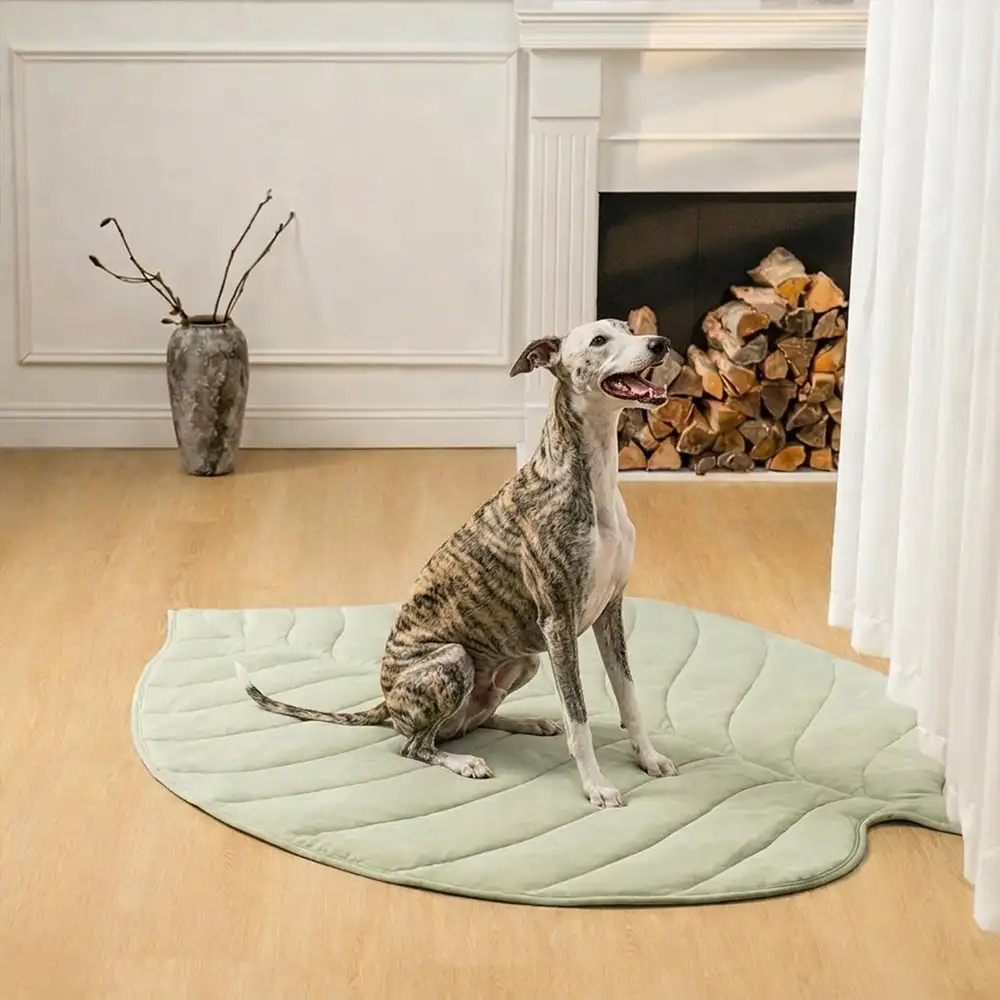 Tapis pour chien et chat en tissu rafraîchissant en forme de feuille, absorbant la chaleur, confortable et antidérapant. - Image 7