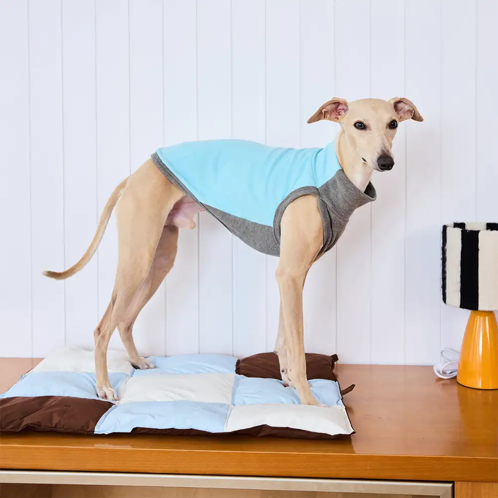 Tapis pour chien multi-usages résistant à l'eau de couleur macaron - Image 3