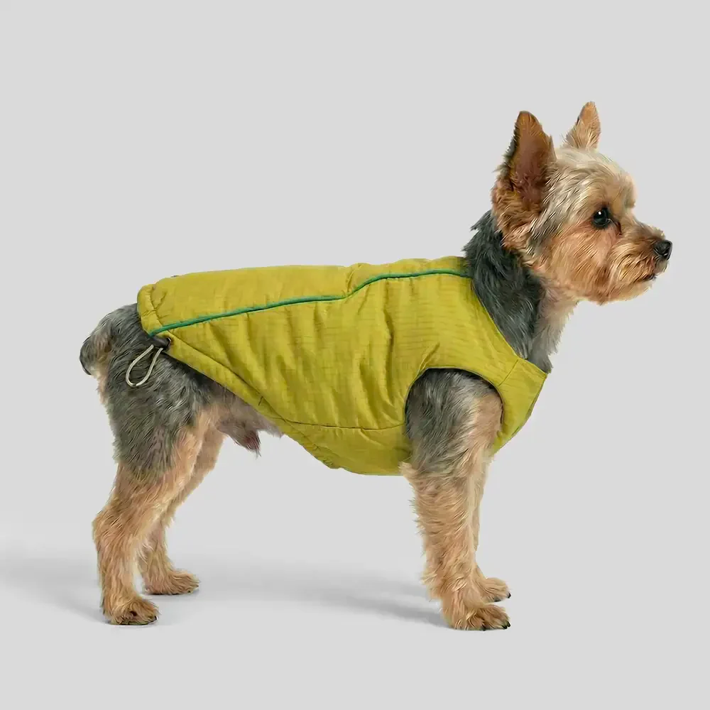 Veste pour chien réversible en padded, épaisse et chaude. - Image 2
