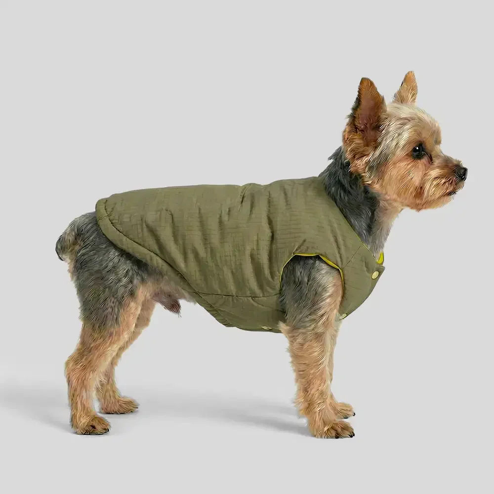 Veste pour chien réversible en padded, épaisse et chaude. - Image 3