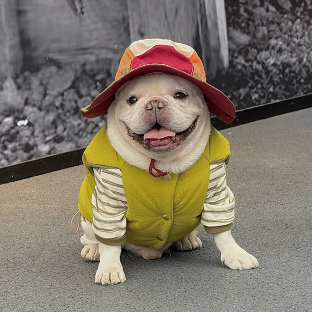 Veste pour chien réversible en padded, épaisse et chaude. - Image 4