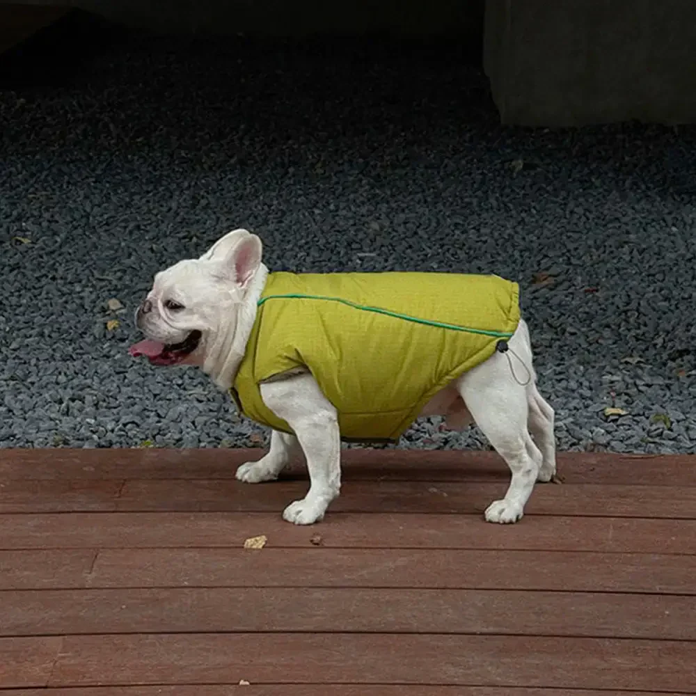 Veste pour chien réversible en padded, épaisse et chaude. - Image 5